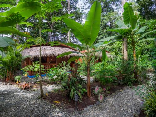 Casitas Las Flores