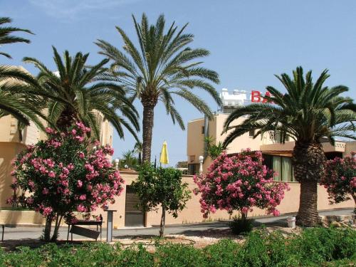 Dimma Seaside Houses - image 5