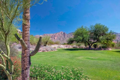 Westin La Paloma Resort And Spa