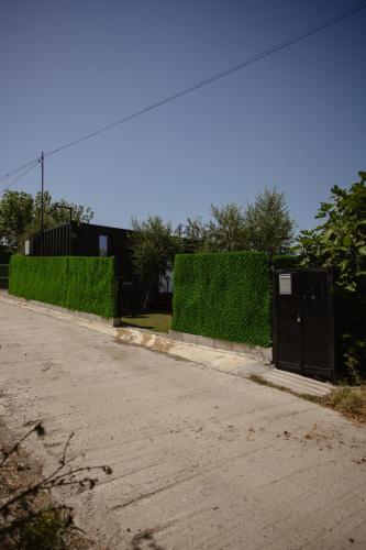 446 Tiny House Shirokë