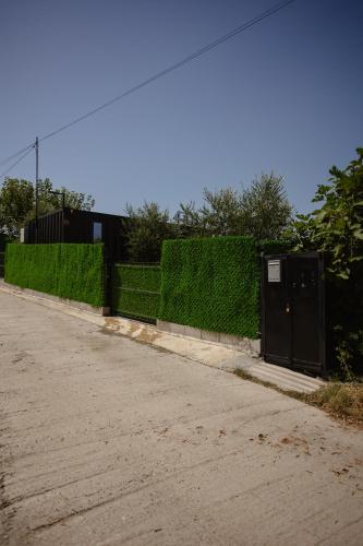 446 Tiny House Shirokë