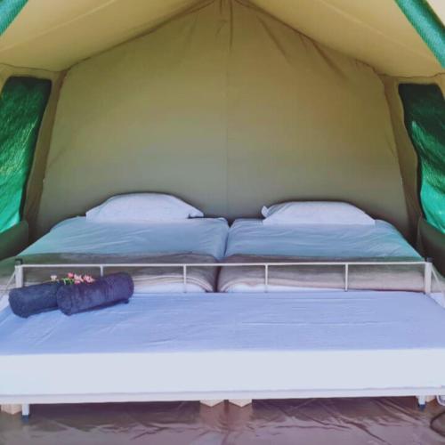 2 twin beds, 1 sofa bed