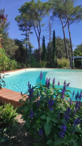 Villa la Ginestra - Charming Country Rooms