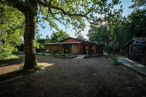 Grande Maison Pleine Nature 5 Chambres pour 10 à 15 pers - Surf Camp