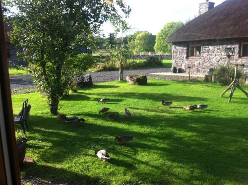 Clan Cottages - image 7
