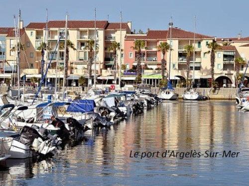 Appartement Argelès-sur-Mer, 2 pièces, 4 personnes - FR-1-225-667