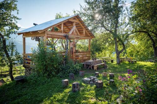 Apkārtne, Guest House LALI in Bagvdanari