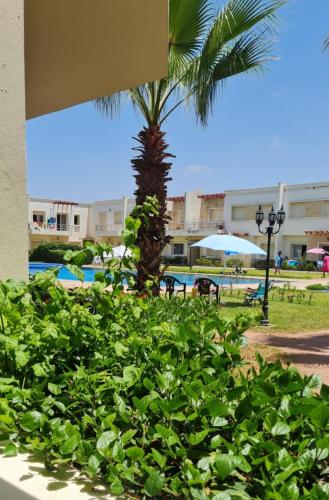 Bel appartement Savannah Beach in Sidi Rahal