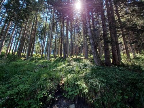 Ideale per sciatori, relax e natura in mezzo alle Dolomiti