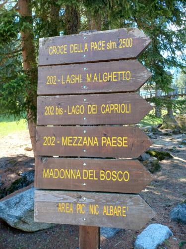 Ideale per sciatori, relax e natura in mezzo alle Dolomiti