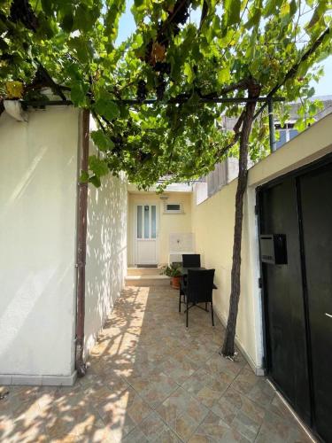 Guest House Luce - image 7