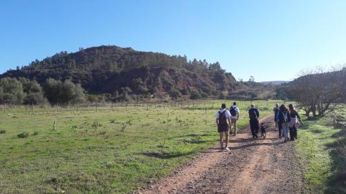Vale Fuzeiros Nature Guesthouse - image 14