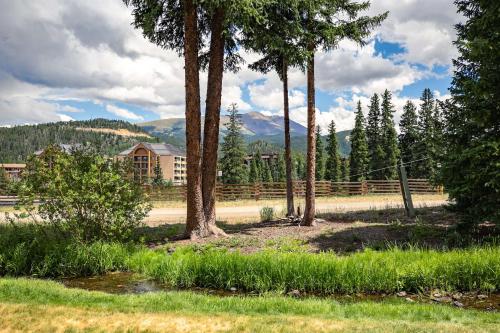 Cedars 29 - image 7