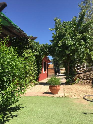 CASA RURAL PONCE DE LEÓN, Ронда (фото 8)