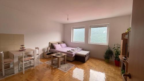 APARTMENT JOVOVIC in ปลูชิเน