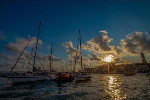 Tony Guesthouse in Acre