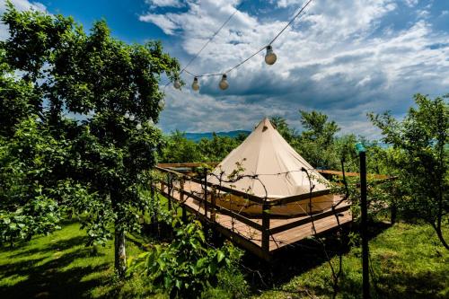 Epic Glamping - Hotel - Călimăneşti