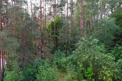 Nykščio Namai - image 14