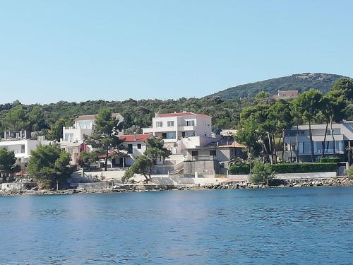 Agava