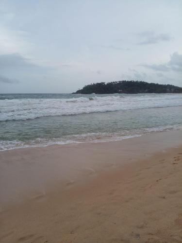 Rosy guest house. - image 4