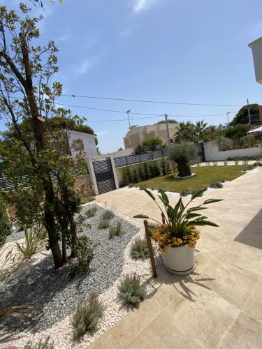 Villa Palladino Rooms - Giovinazzo