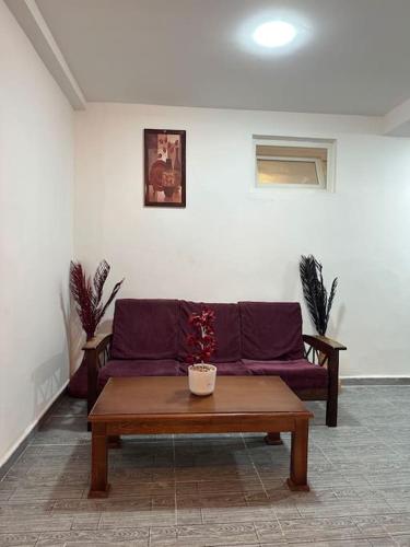 Mira loft photo 1
