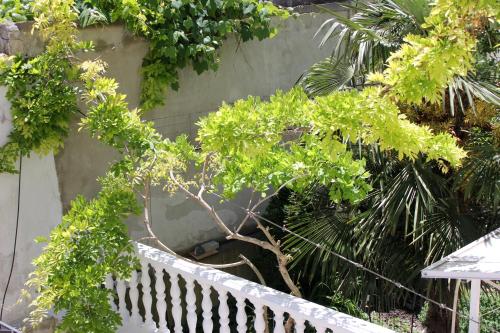 Hotel Electra - image 13