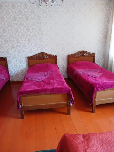 Guest house Track Kazbegi