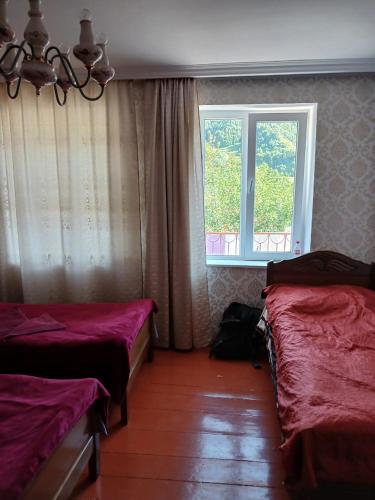 Guest house Track Kazbegi