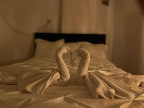 דירת אירוח ימית, Bejt Še'an (fotografie 7)