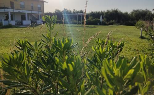 Natura e Mente Camere e Relax 3