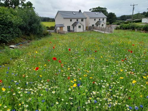 B&B Myddfai - Family Country Cottage with Stunning Mountain Views - Bed and Breakfast Myddfai