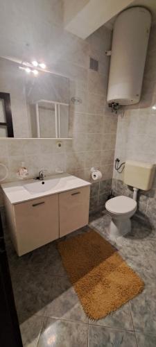 Comfort One-Bedroom Apartment with Sea View  image 9