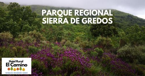 Hotel Rural El Camino - image 9