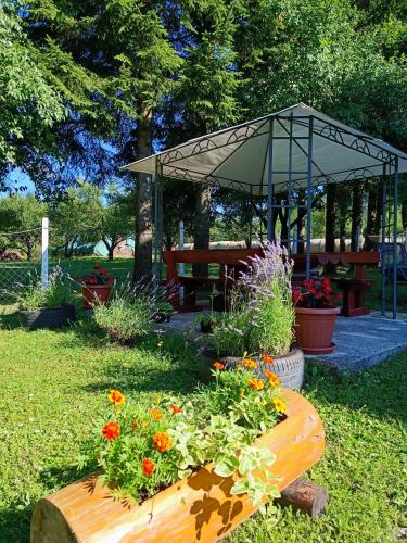 Guesthouse Nikolina in Vrelo Koreničko