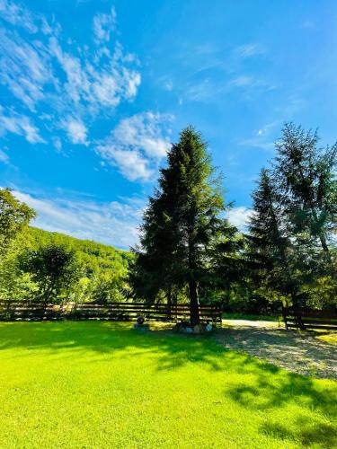 周邊環境, Domek Nida in 賴斯其