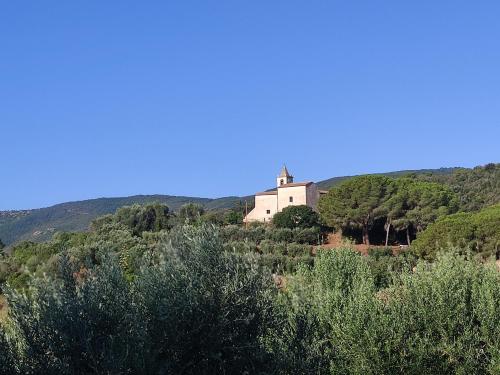 CASA LACONA - image 5