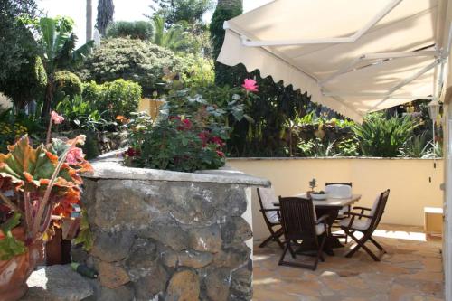 4 Oasis de tranquilidad en tenerife
