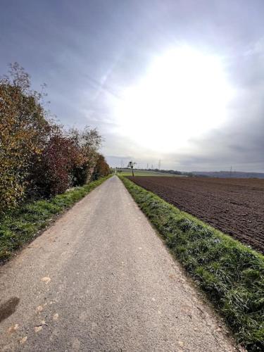 Exquisite-Suite für Comfort & Gemütlichkeit Parkplatz ,Terrasse, WLAN (Exquisite-Suite fur Comfort & Gemutlichkeit Parkplatz ,Terrasse, WLAN) in Niedernhausen