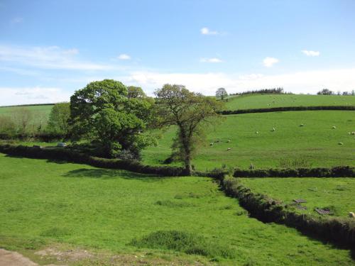 Haye Barton Farm - image 8