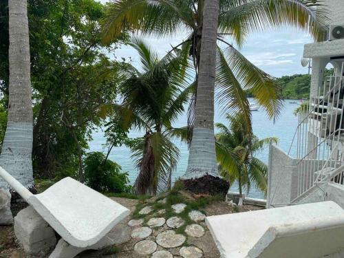 Live an adventure in Taboga 1 in Paso Ancho