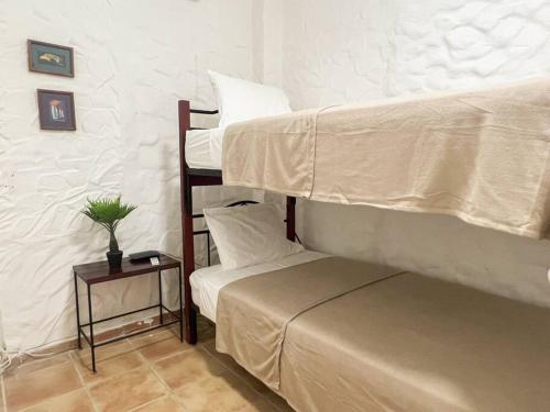 Live an adventure in Taboga 1