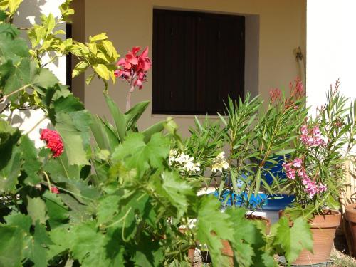 Kert, Le Gite Radica in Bastelica