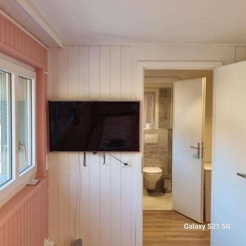 Mountain - Lake Apartment 3 in Wilderswil, Schweiz