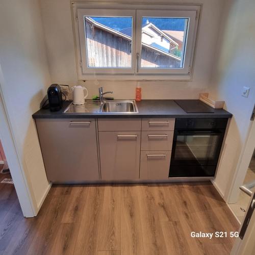 Mountain - Lake Apartment 3 in Wilderswil, Schweiz