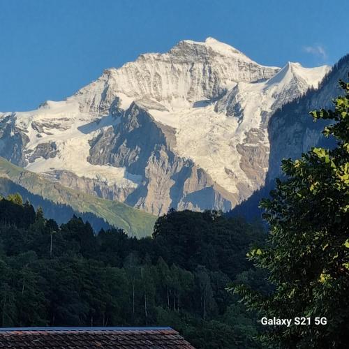 Mountain - Lake Apartment 3 in Wilderswil, Schweiz