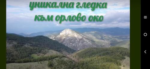 Къща за гости Чала, Chala (fotografie 6)