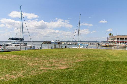 Bluff Villas 1817 Bluff Villas 1817