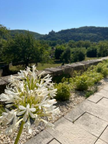 Le clos de l’Âne Dentelle