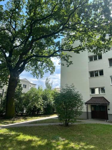 Charming Apartament